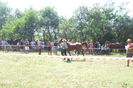 Picture 901