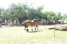 Picture 912