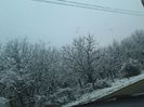 IMG_1065