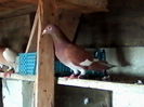 IMG_20131128_130532