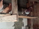 IMG_20131128_130259