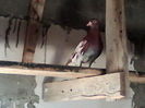 IMG_20131128_130238