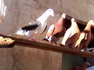 IMG_20131128_125327