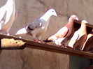 IMG_20131128_125319