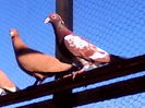 IMG_20131128_123957