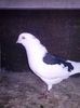 CAM00420[1]
