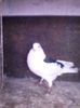CAM00419[1]