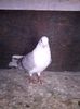 CAM00443[1]