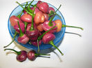 Cheiro Roxa