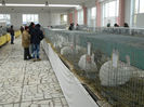 DSCN1561
