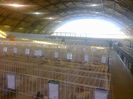 Expo Sannicolau 087
