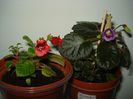 DSC06119