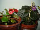 DSC06120