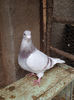 Picture 007