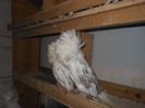 DSCN1291