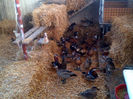 IMG-20131201-00040