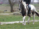 BONITA IAPA APPALOOSA