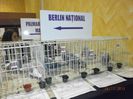 Berlin National