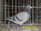 SAM_0734