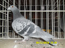 SAM_0735