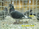 SAM_0738