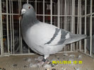SAM_0739