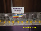 SAM_0740