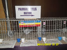 SAM_0742