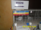 SAM_0746