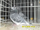 SAM_0753