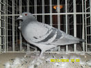 SAM_0757