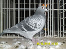 SAM_0758