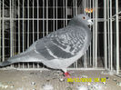 SAM_0759