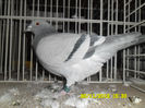 SAM_0761