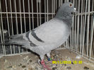 SAM_0763