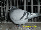 SAM_0764