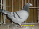 SAM_0768