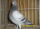 SAM_0771