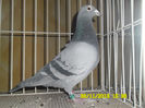 SAM_0772