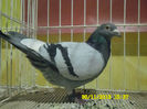 SAM_0774