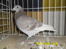 SAM_0778