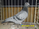 SAM_0779
