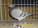 SAM_0780