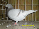 SAM_0782