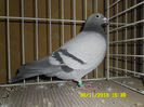 SAM_0785