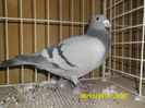 SAM_0786
