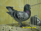 SAM_0787