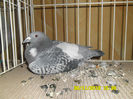 SAM_0788