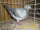 SAM_0789