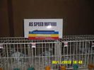 SAM_0791